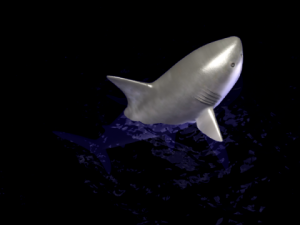 animated shark 3D Model