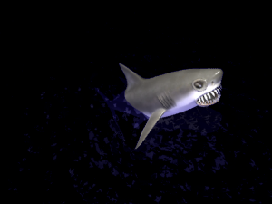 animated shark 3D Model