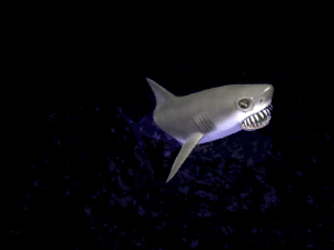 animated shark 3D Model