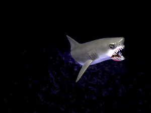 animated shark 3D Model
