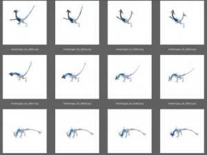 animated water dragon png sequenses Modelo 3D