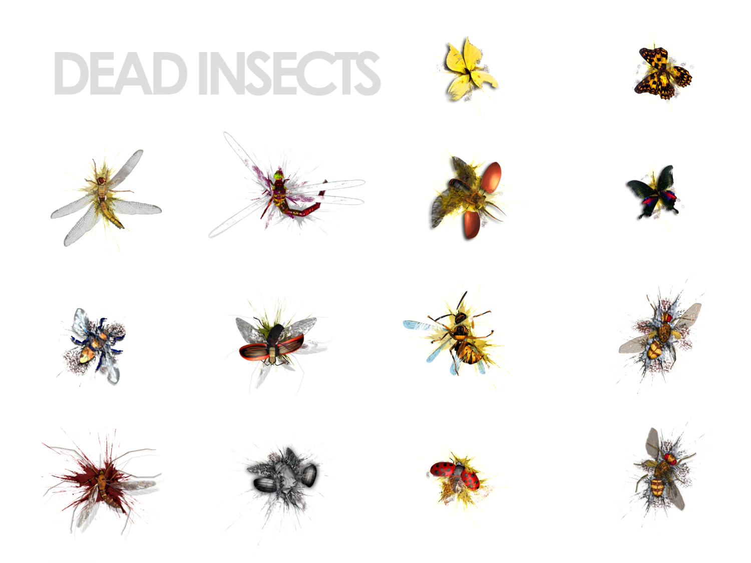 animated flying insects dead insects splatters 3D Model .c4d .max .obj .3ds .fbx .stl .blend 
