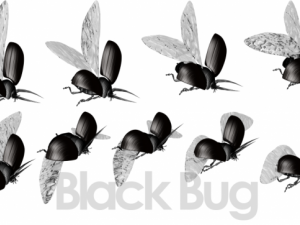 animated flying insects dead insects splatters Modello 3D