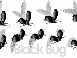 animated flying insects dead insects splatters 3D Model