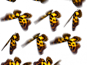animated flying insects dead insects splatters Modello 3D