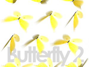 animated flying insects dead insects splatters Modello 3D