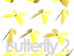 animated flying insects dead insects splatters 3D Model