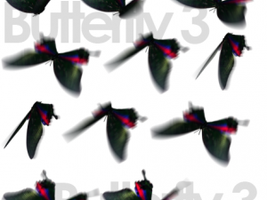 animated flying insects dead insects splatters Modello 3D