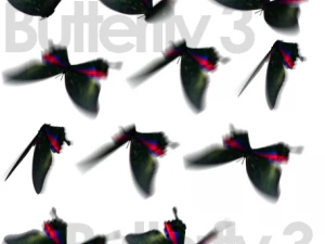 animated flying insects dead insects splatters 3D Model