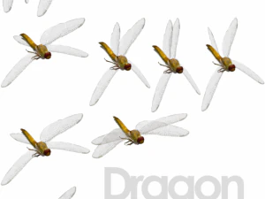 animated flying insects dead insects splatters 3D Model