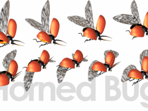 animated flying insects dead insects splatters Modello 3D