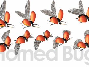 animated flying insects dead insects splatters 3D Model