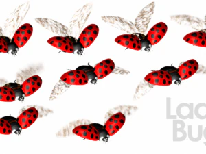 animated flying insects dead insects splatters 3D Model