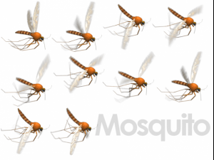 animated flying insects dead insects splatters Modello 3D