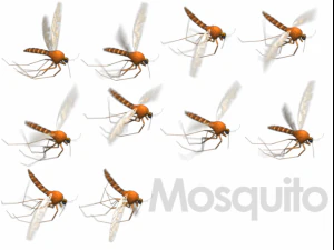 animated flying insects dead insects splatters 3D Model