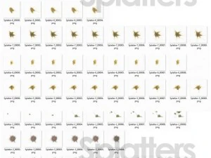 animated flying insects dead insects splatters 3D Model