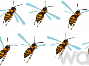 animated flying insects dead insects splatters 3D Model