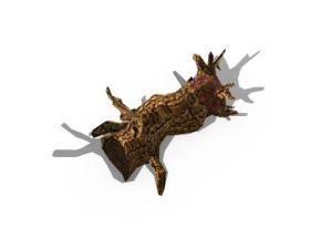 toon textured dead tree 3D Model