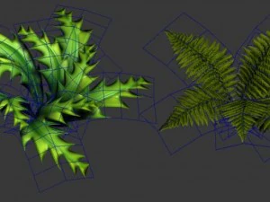toon and realistic fern plant 3D Model
