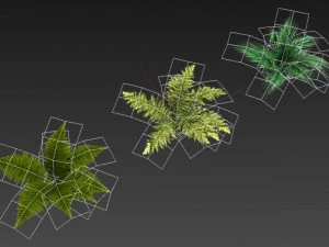 toon and realistic fern plant 3D Model