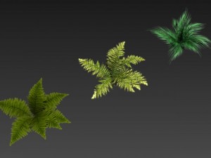 toon and realistic fern plant Model 3D