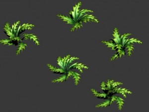 toon and realistic fern plant Model 3D