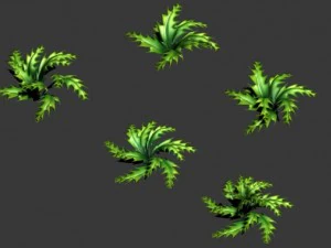 toon and realistic fern plant 3D Model