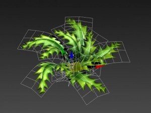 toon and realistic fern plant Model 3D