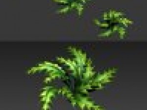 toon and realistic fern plant Model 3D