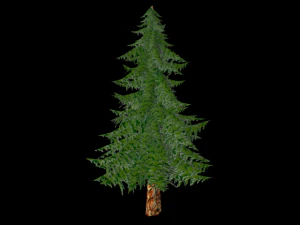 toon textured pine tree 3D Model