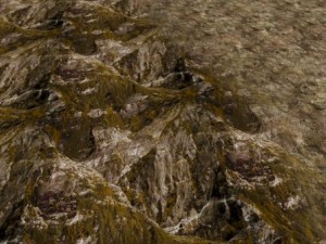 autumn and winter seamless textures pack Texturas CG