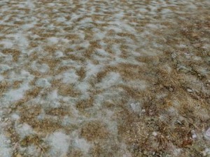 autumn and winter seamless textures pack CG Textures