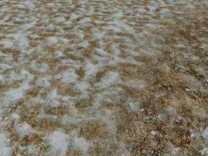 autumn and winter seamless textures pack CG Textures