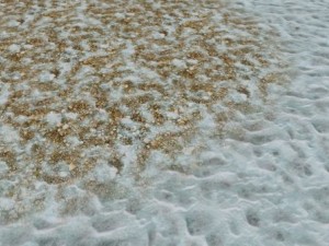 autumn and winter seamless textures pack CG Textures
