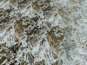 autumn and winter seamless textures pack CG Textures