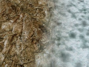 autumn and winter seamless textures pack CG Textures