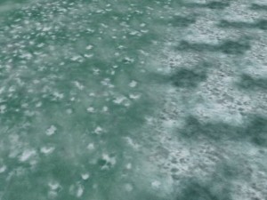 autumn and winter seamless textures pack CG Textures