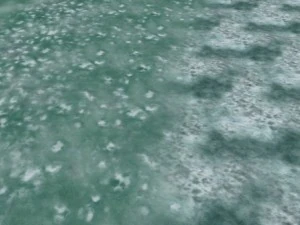 autumn and winter seamless textures pack CG Textures