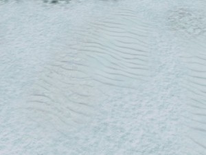 autumn and winter seamless textures pack CG Textures