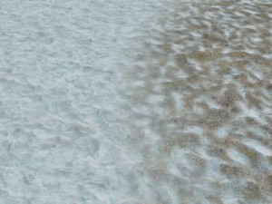 autumn and winter seamless textures pack CG Textures