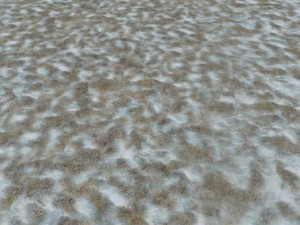 autumn and winter seamless textures pack CG Textures