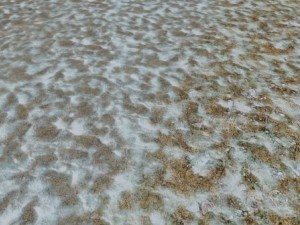 autumn and winter seamless textures pack CG Textures