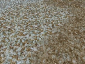 autumn and winter seamless textures pack CG Textures