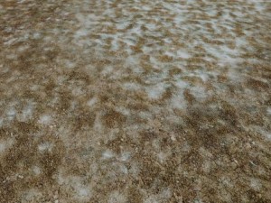 autumn and winter seamless textures pack CG Textures