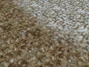 autumn and winter seamless textures pack CG Textures