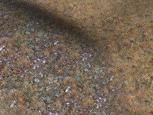 autumn and winter seamless textures pack CG Textures