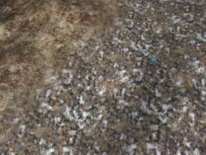 autumn and winter seamless textures pack CG Textures