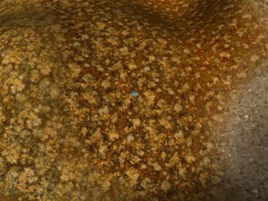 autumn and winter seamless textures pack CG Textures