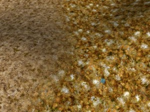 autumn and winter seamless textures pack CG Textures