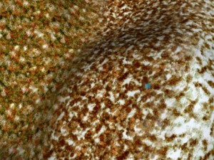 autumn and winter seamless textures pack CG Textures